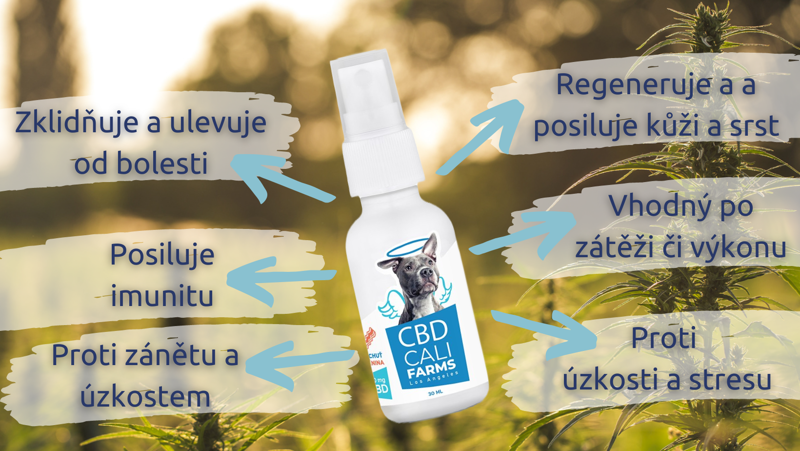 CBD pro zvířata 4